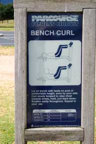 Bench Curl