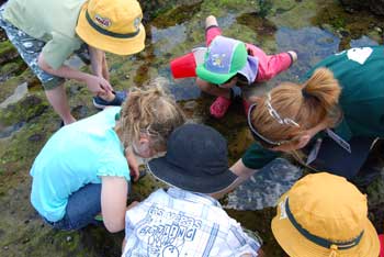 Rockpool Ramble at the Summer By the Sea event